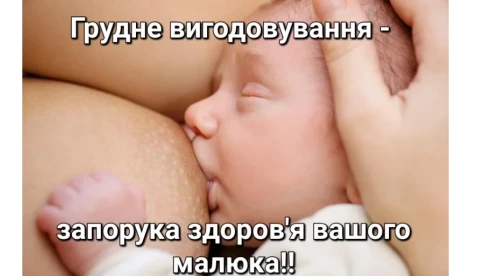 🤱Грудне вигодовування🤱